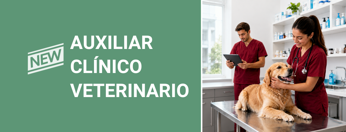 Curso de Auxiliar Cl&iacute;nico Veterinario